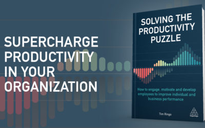Ten Steps to Solve the Productivity Puzzle